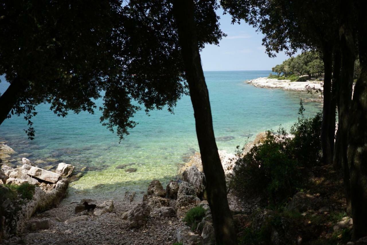 Guesthouse Galeb เวอร์ซาร์ ภายนอก รูปภาพ